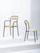 MC16 Forcina Armchair 芙綺娜扶手椅 Mattiazzi 居雅堂 JYT Design