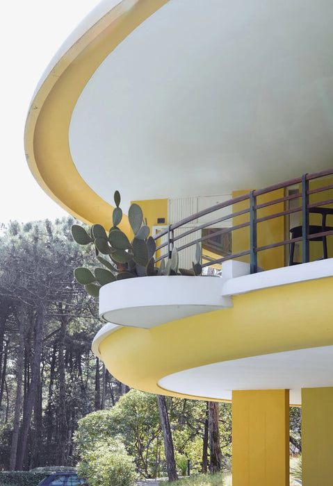 MC7 Radice Chair 瑞迪斯實木單椅 座高 46cm -  Mattiazzi 居雅堂 JYT Design